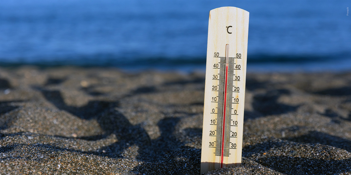 The Importance of Proper Aquarium Water Temperature for Fish Health